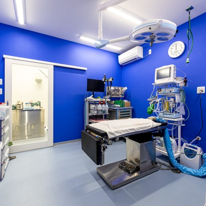 吉田佳央が撮影した「:albumName」の写真