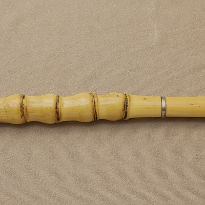 古谷芸文が撮影した「:albumName」の写真