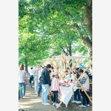 戸澤麻衣が撮影した「:albumName」の写真