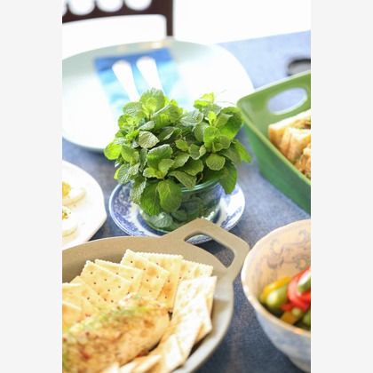 眞田 厚司が撮影した人物撮影の写真