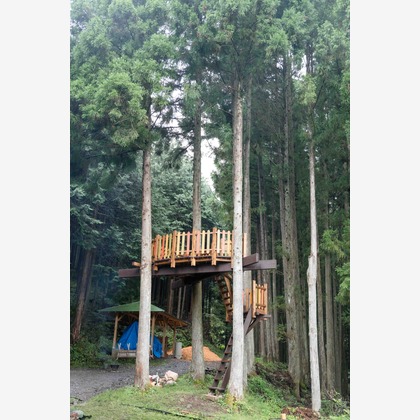 山﨑さと子が撮影したウェディングや家族、ビジネスの写真