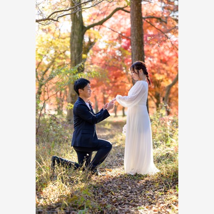 Photo of :albumName taken by 佐野光太郎