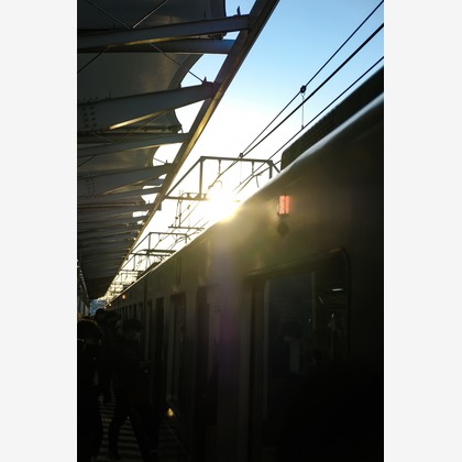 KotobukiPhotosが撮影した「:albumName」の写真