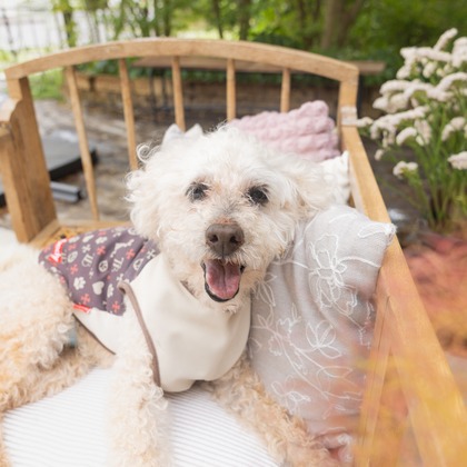 ミヤタカズコが撮影した「:albumName」の写真