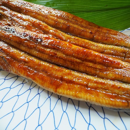 山口博光が撮影した料理撮影の写真