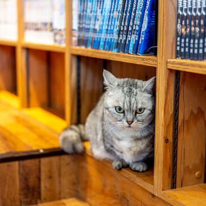 沖山俊樹が撮影した「:albumName」の写真