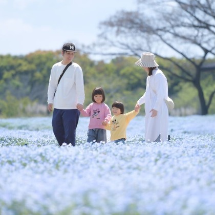 吉村　恵三が撮影した「:albumName」の写真