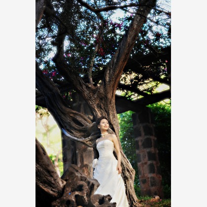 éclat photographyが撮影したウェディングや家族、ビジネスの写真