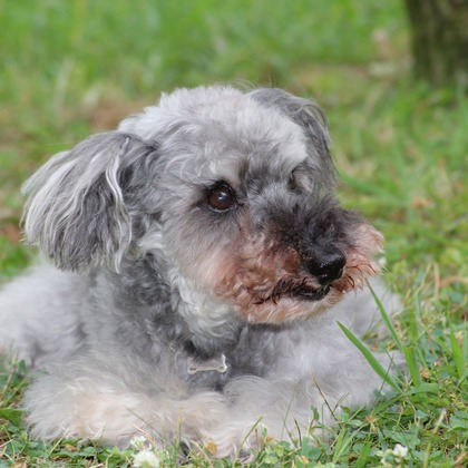 渡邉博海が撮影した家族写真の出張撮影の写真