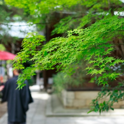 Photo of :albumName taken by k.uemura