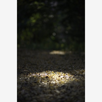 内山慎也が撮影した商品/物撮りの写真