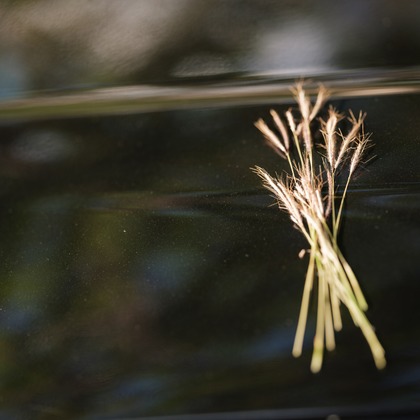 藤原和彦が撮影した「ロケーションフォト」の写真