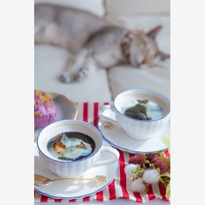 株式会社クリフが撮影した「:albumName」の写真