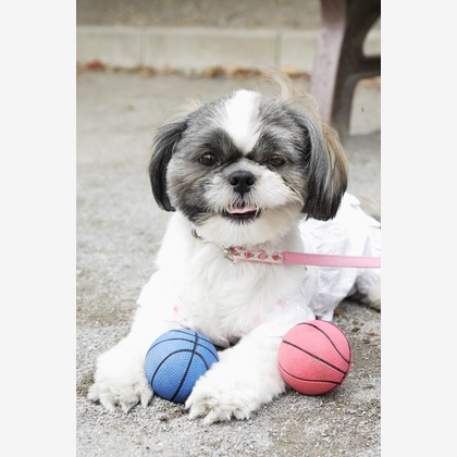 森安　照が撮影した「:albumName」の写真