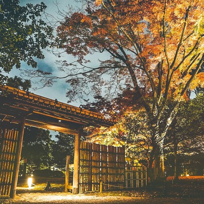 いんかが撮影したその他の写真