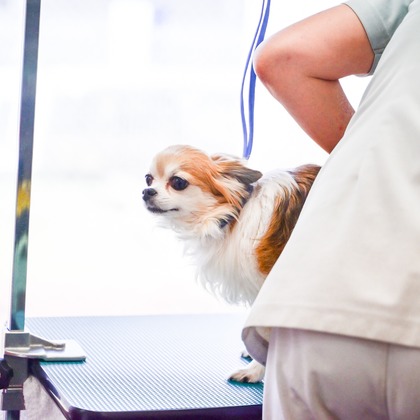 出張撮影 中村まみこが撮影した店舗/オフィス/サロン撮影の写真