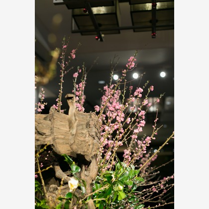 Yuki Shimada Photographyが撮影した「:albumName」の写真