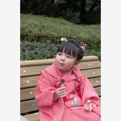 ミヤタカズコが撮影した「:albumName」の写真