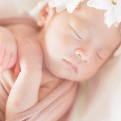 合同会社PHOTO FACTORY LARが撮影した「:albumName」の写真