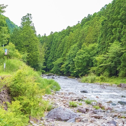 フォトスタジオ　ちっくたっくが撮影したその他の写真