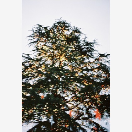 Ren fujishigeが撮影した人物撮影の写真