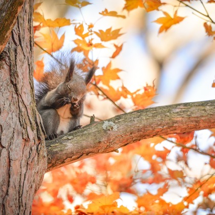 山口奈緒が撮影した「:albumName」の写真