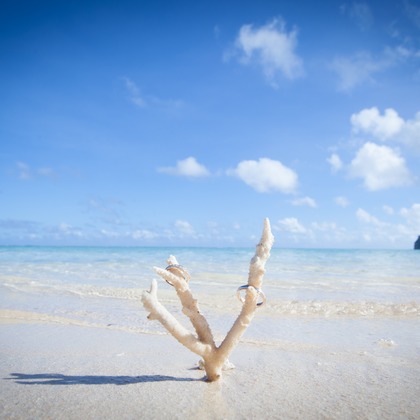 Location Photo Shoot Photos taken by APITS art photography