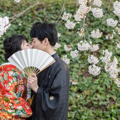 Photo of Kyoto　Prewedding photo with cherryblossom taken by saruco(Hisashi Iwasaki)