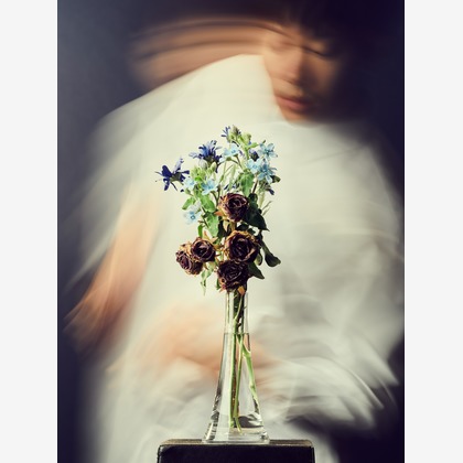 松岡大起写真事務所が撮影した「:albumName」の写真