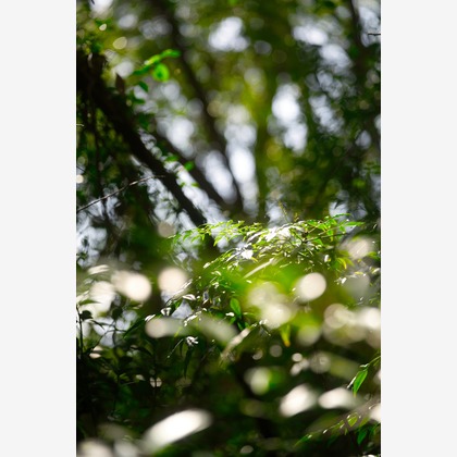 Tak Ogawa photographerが撮影したイベント/スナップ撮影の写真