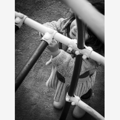 ハイナ　マテウスが撮影した「:albumName」の写真