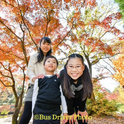Bus Driver Photo NAKAMOTOが撮影した家族写真の出張撮影の写真