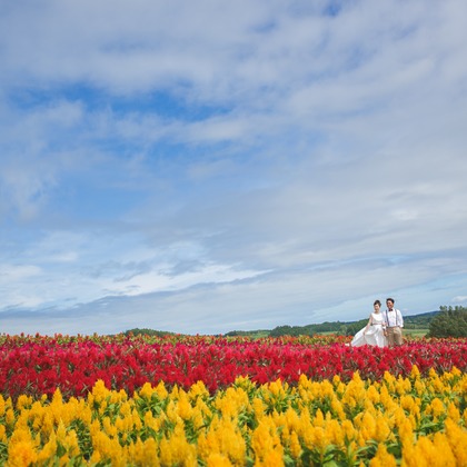 Sincere（サンシェール）が撮影したウェディングや家族、ビジネスの写真