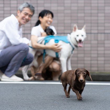 元木 ヒデが撮影した家族写真の出張撮影の写真