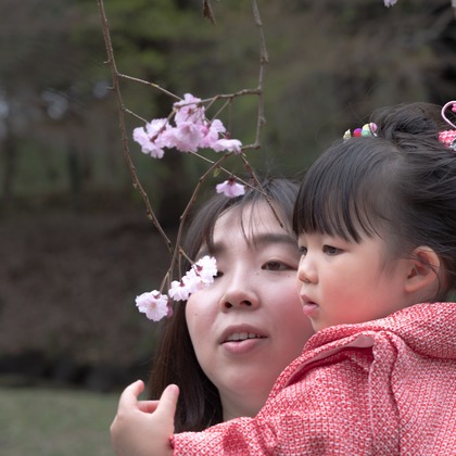 ミヤタカズコが撮影した「:albumName」の写真