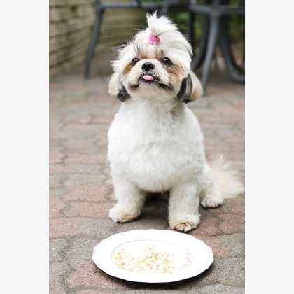 森安　照が撮影した「:albumName」の写真