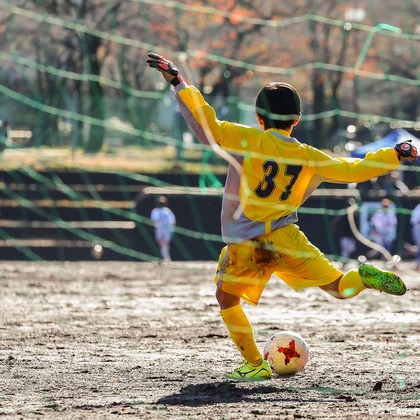 Minminが撮影したその他の写真