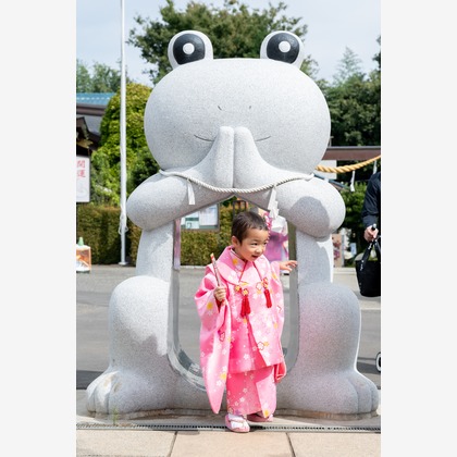 佐藤政彦が撮影したウェディングや家族、ビジネスの写真