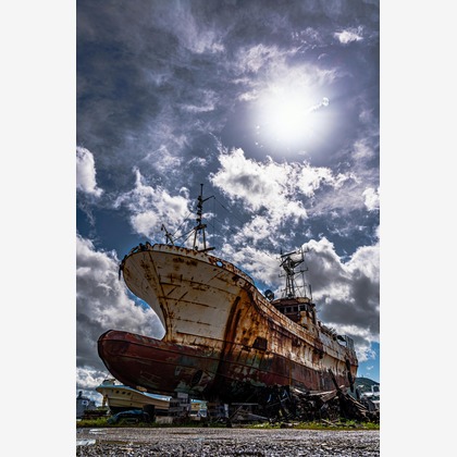 高木勇斗が撮影したその他の写真