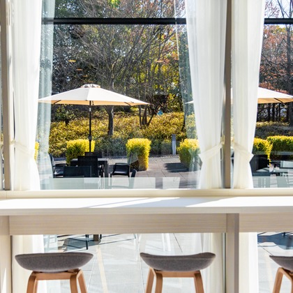 大森美紗生が撮影した店舗/オフィス/サロン撮影/料理撮影/商品/物撮りの写真