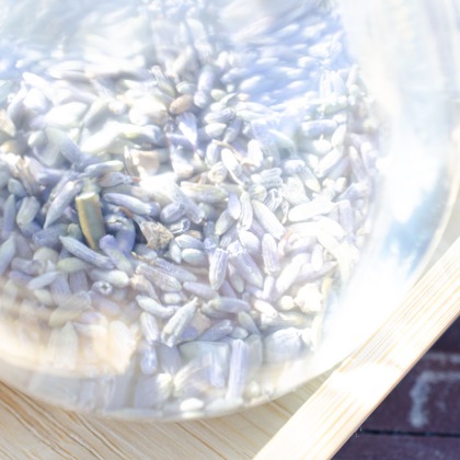 Photographer YUUKIが撮影した店舗/オフィス/サロン撮影の写真