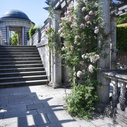 Lucky Sliver Sixpenceが撮影した「プラン名：Romantic Park(ロケーション参考写真）」の写真