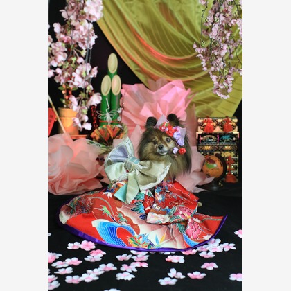 高橋 透（Coo&Sea STUDIO代表）が出張撮影した「お正月撮影会2020@新横浜Coo&Sea STUDIO」の家族写真