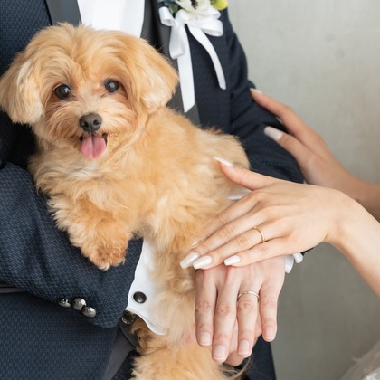 河村　賢が撮影した「前撮り/後撮り出張撮影」のウェディングフォト - :albumName