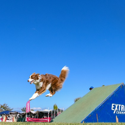 スタジオファンタスが撮影した「:albumName」の写真