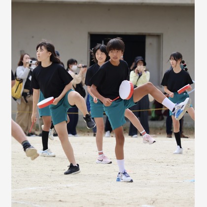 えむあんりみてっどが撮影した「:albumName」の写真