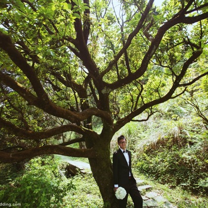 Trust photoが撮影した「:albumName」の写真