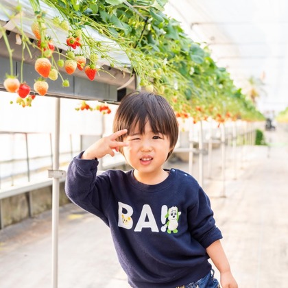 maimaiCameraが撮影した「:albumName」の写真