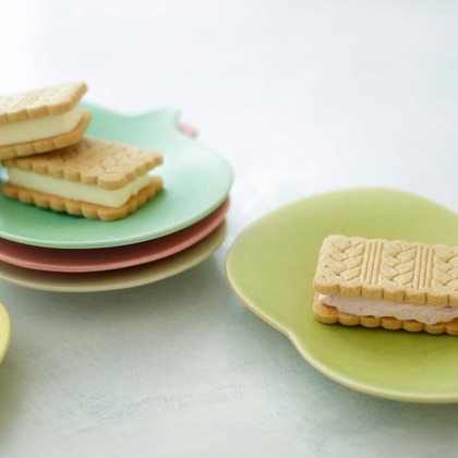 蛭子真写真事務所が撮影したウェディングや家族、ビジネスの写真