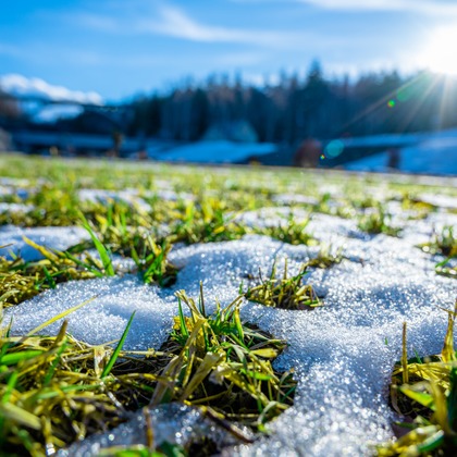 高木勇斗が撮影したその他の写真